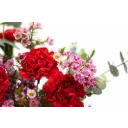 Kytice čerevných karafiátů